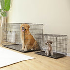 Dog Crate Double Door with Divider Foldable Indoor/Outdoor