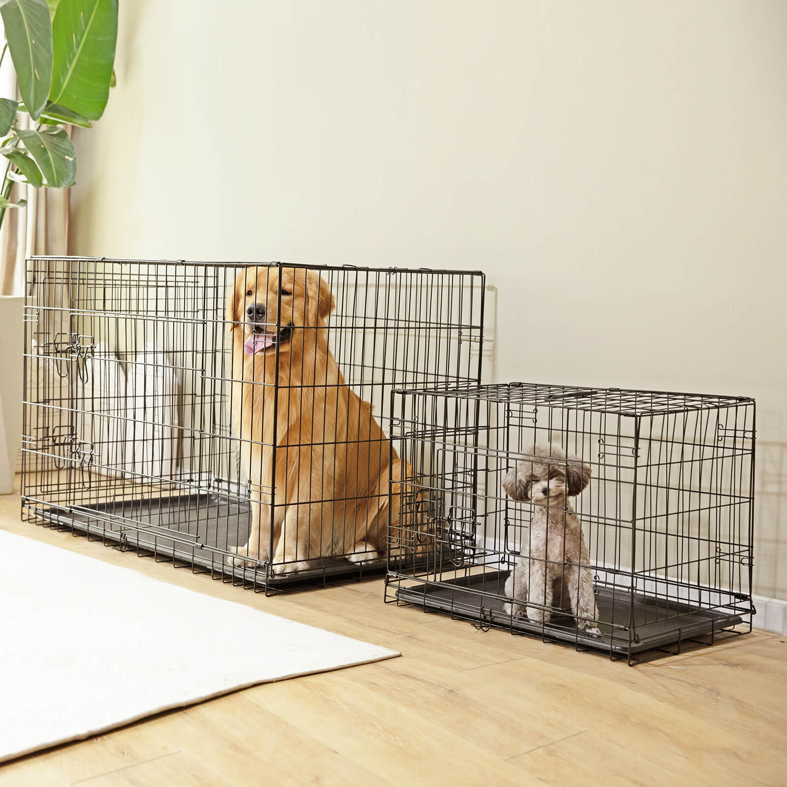 Dog Crate Double Door with Divider Foldable Indoor/Outdoor