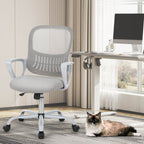 Office Chair with Lumbar Support and Armrests