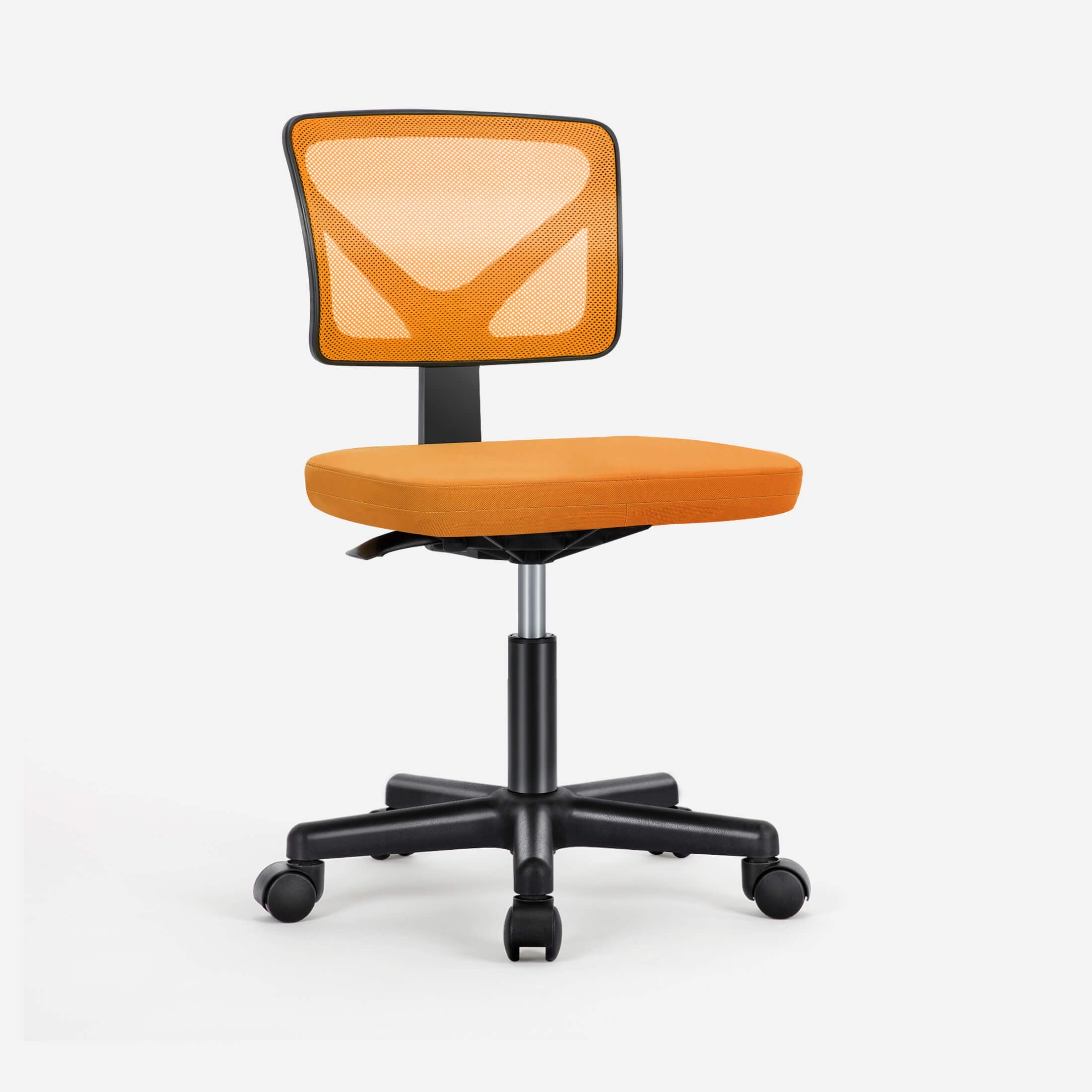 Desk Chair with Lumbar Support for Office