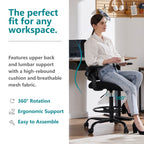 Office Chair with Reversible Armrest Lumbar Support