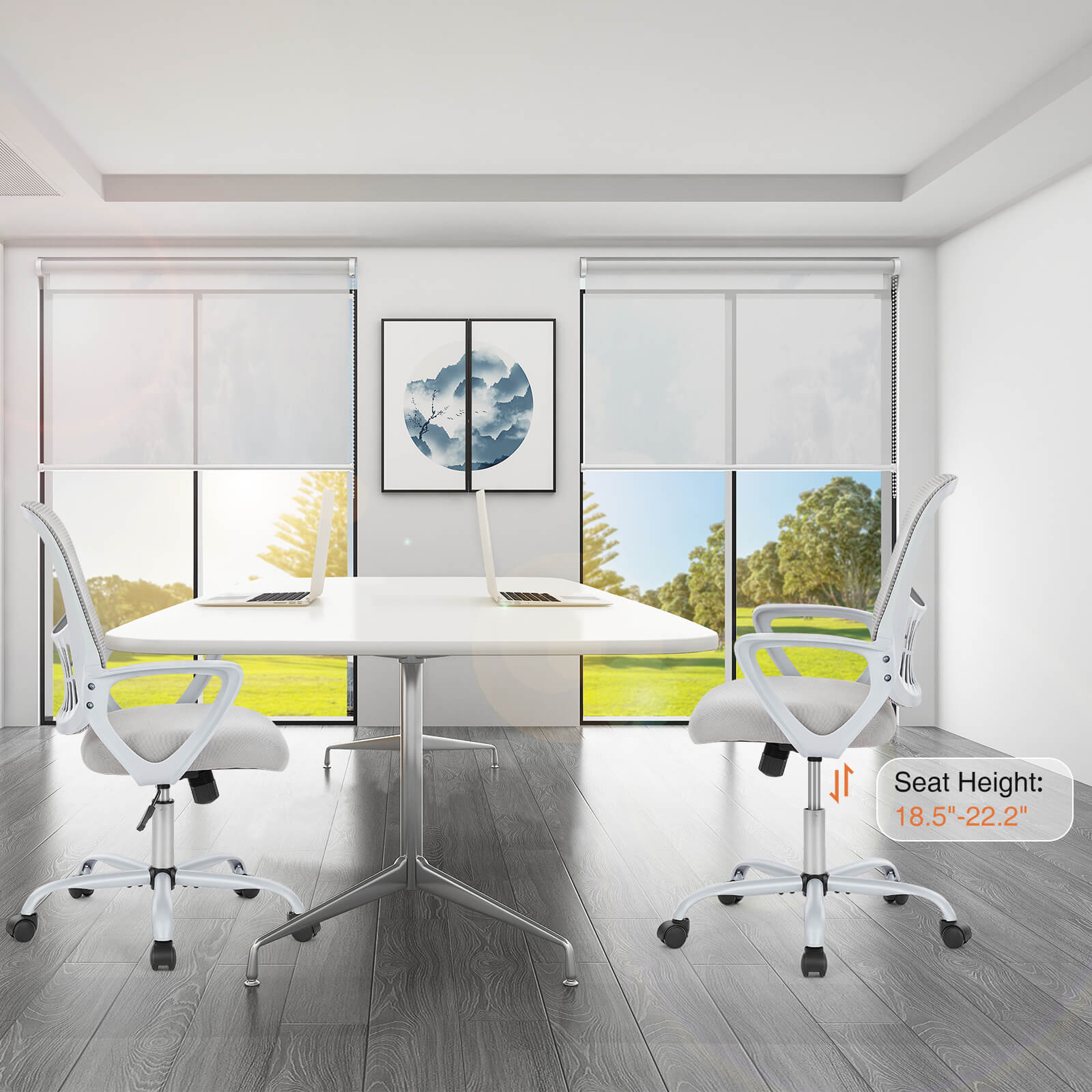 Office Chair with Lumbar Support and Armrests