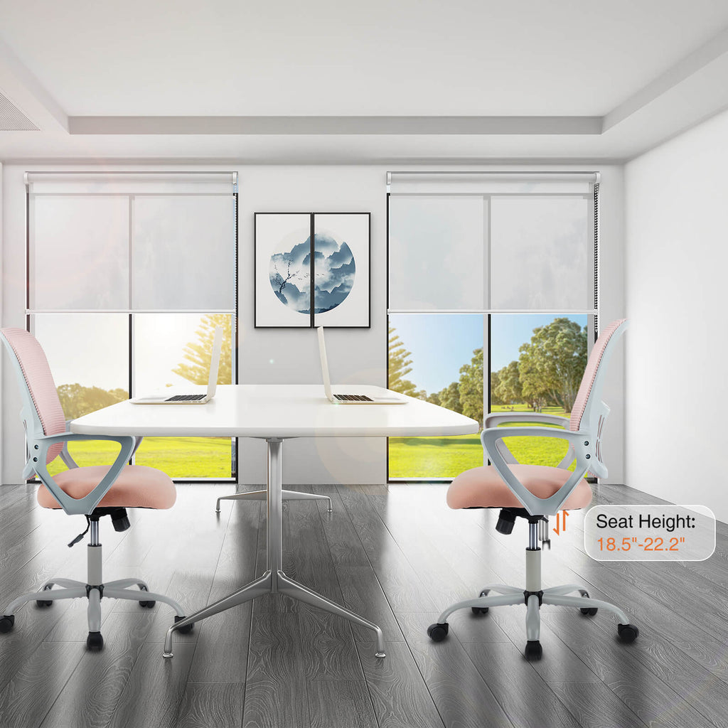 Office Chair with Lumbar Support and Armrests