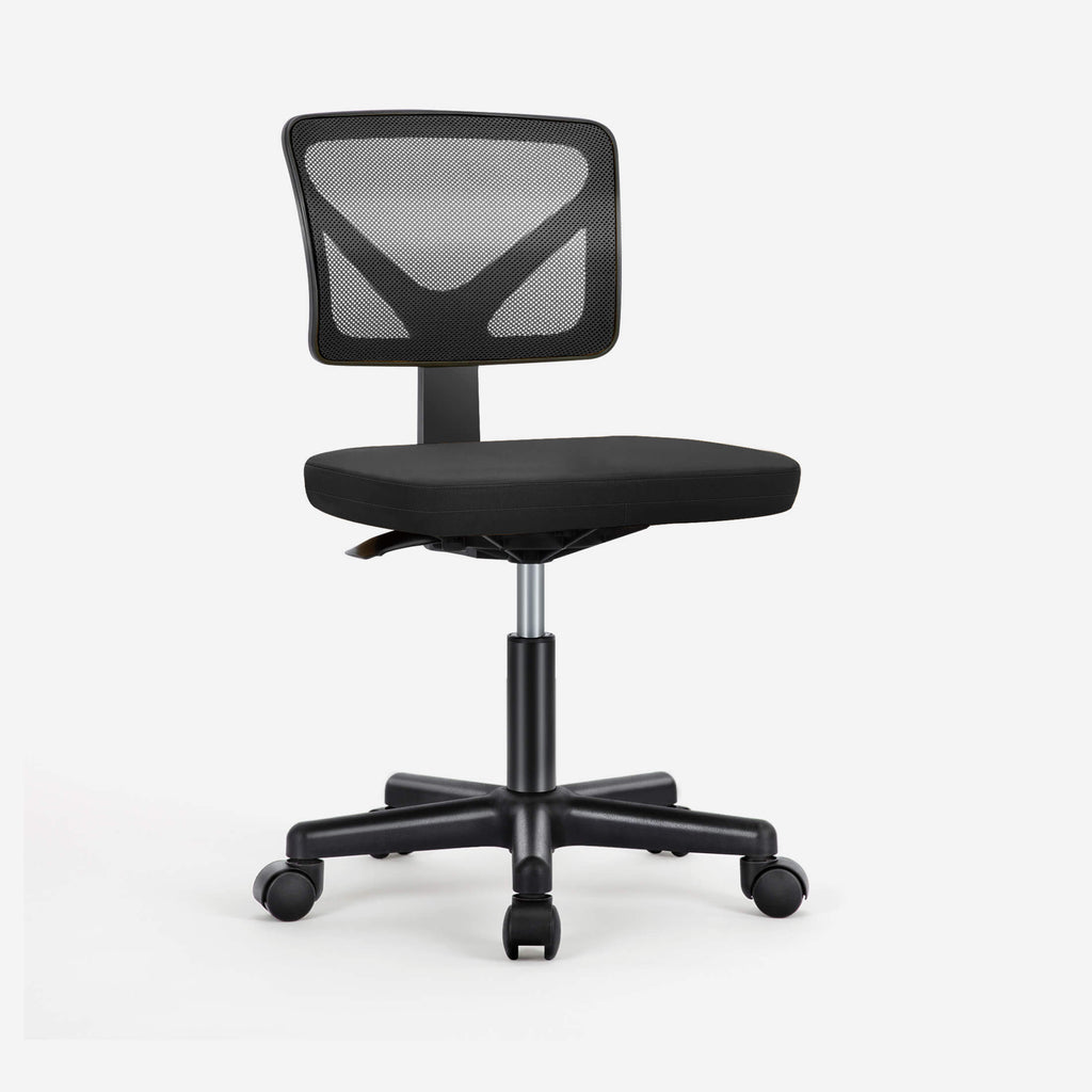 Desk Chair with Lumbar Support for Office
