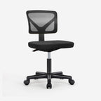 Desk Chair with Lumbar Support for Office