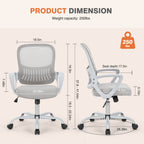 Office Chair with Lumbar Support and Armrests