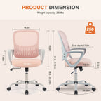 Office Chair with Lumbar Support and Armrests
