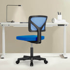 Desk Chair with Lumbar Support for Office