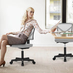 Desk Chair with Lumbar Support for Office