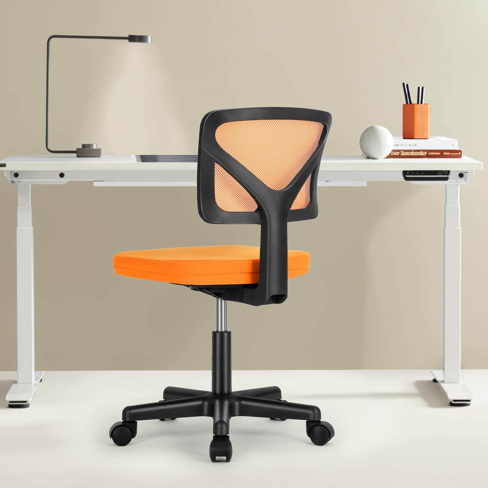 Desk Chair with Lumbar Support for Office
