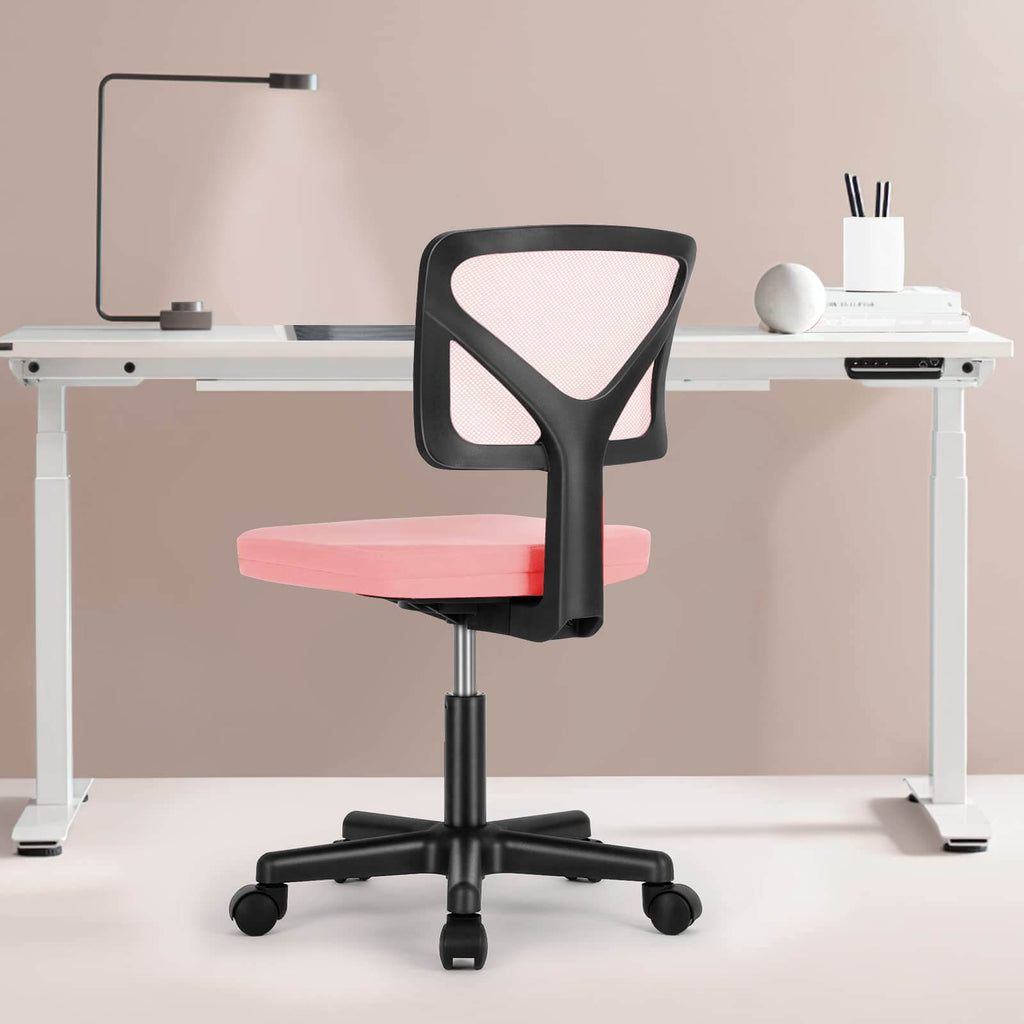 Desk Chair with Lumbar Support for Office