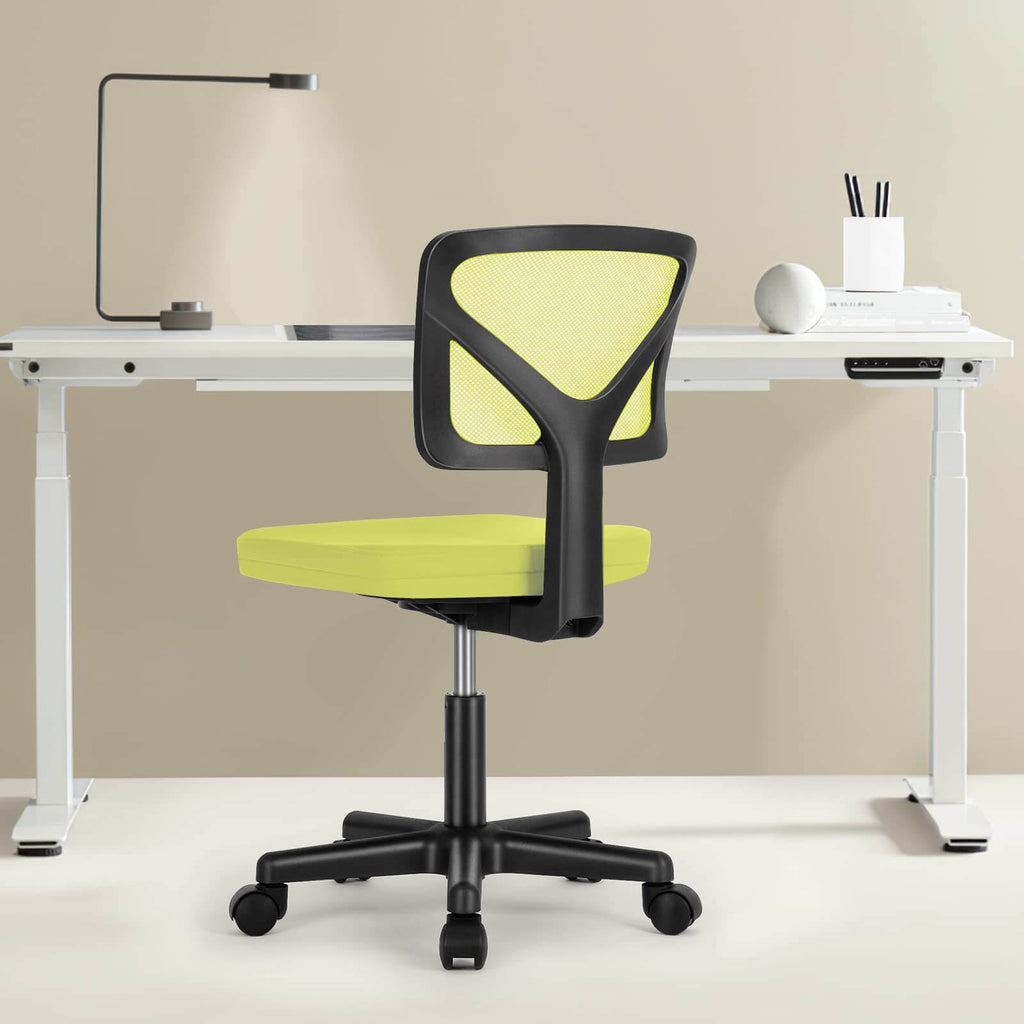 Desk Chair with Lumbar Support for Office