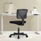 Desk Chair with Lumbar Support for Office